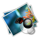 手機網(wǎng)站建設(shè)多少錢